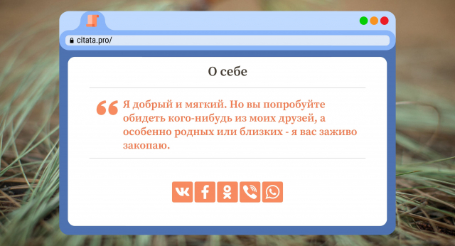 Я добрый и мягкий. Но вы попробуйте обидеть кого-нибудь из моих друзей, а особенно родных или близких - я вас заживо закопаю.