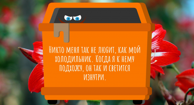 Никто меня так не любит, как мой холодильник. Когда я к нему подхожу, он так и светится изнутри.